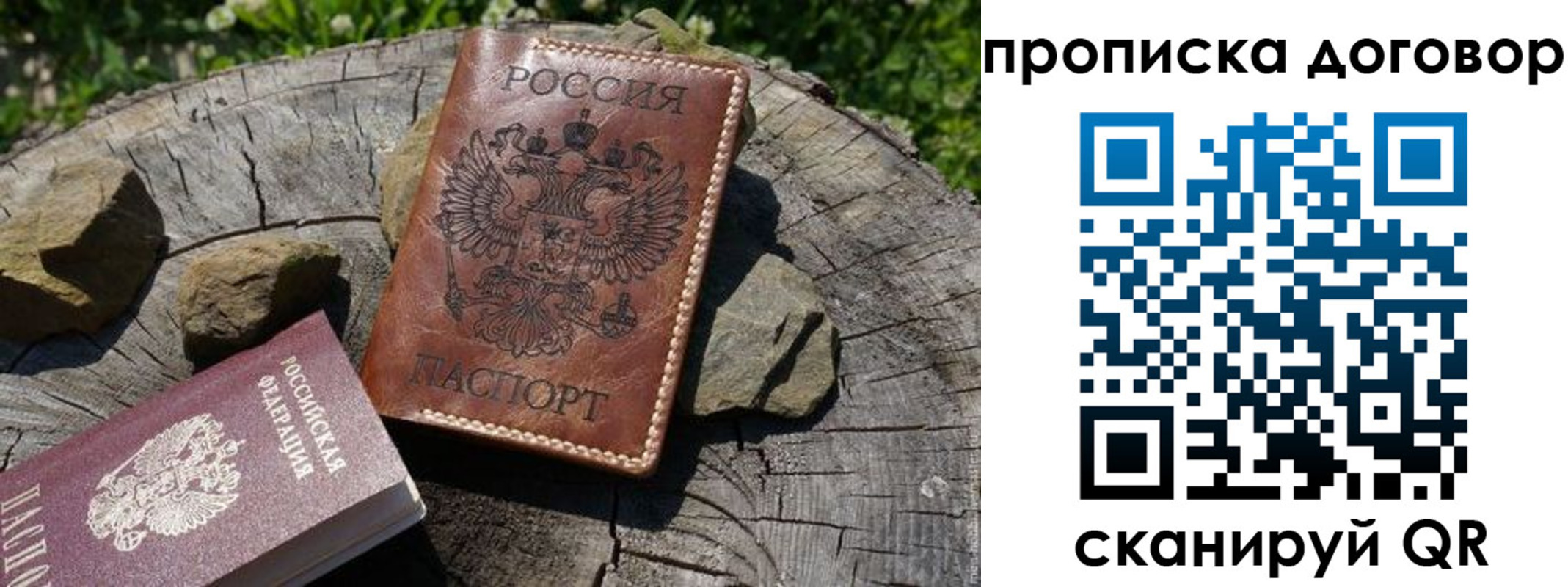 временная регистрация гарантия в Завитинске